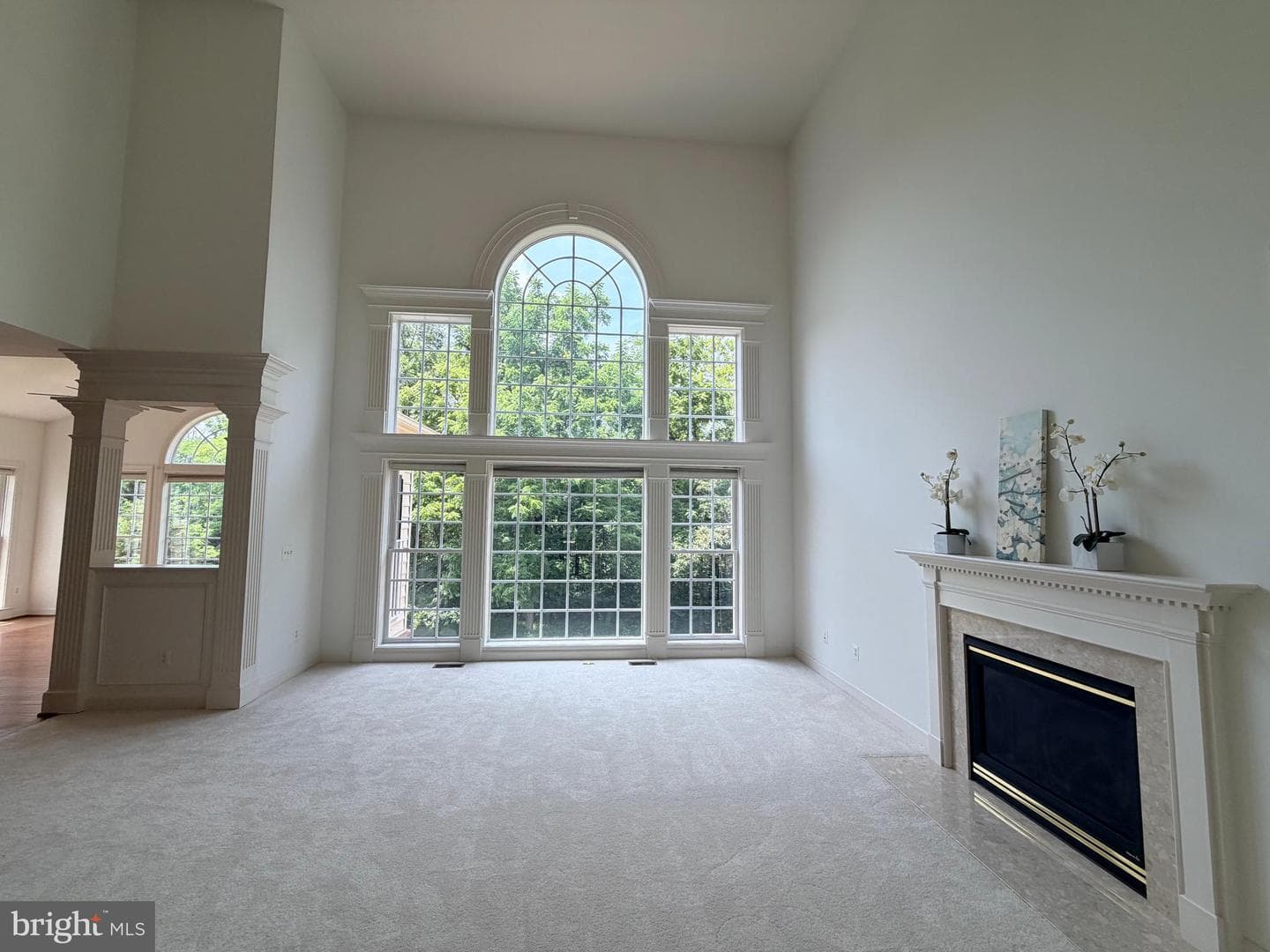 19117 Chartered Creek Place photo 7