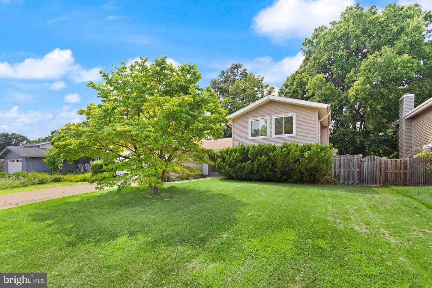 131 Evergreen Street photo 3