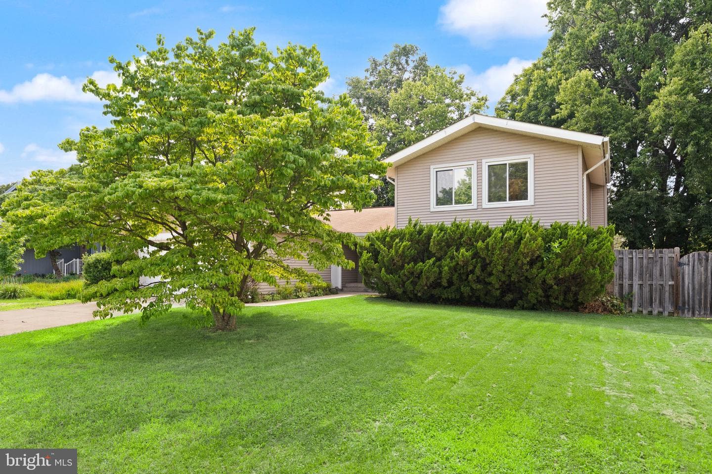 131 Evergreen Street photo 4