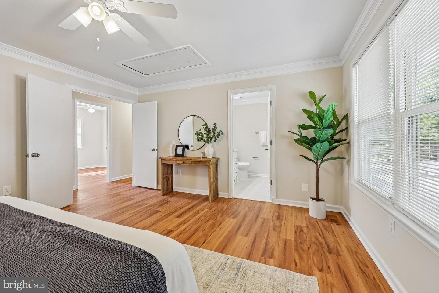 2 Beecher Place photo 23
