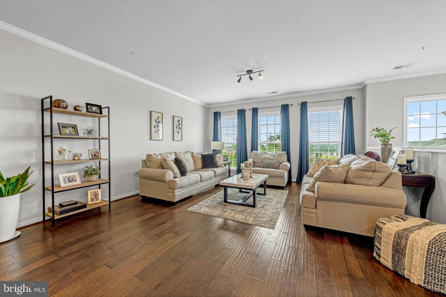 20604 Maitland Terrace photo 4