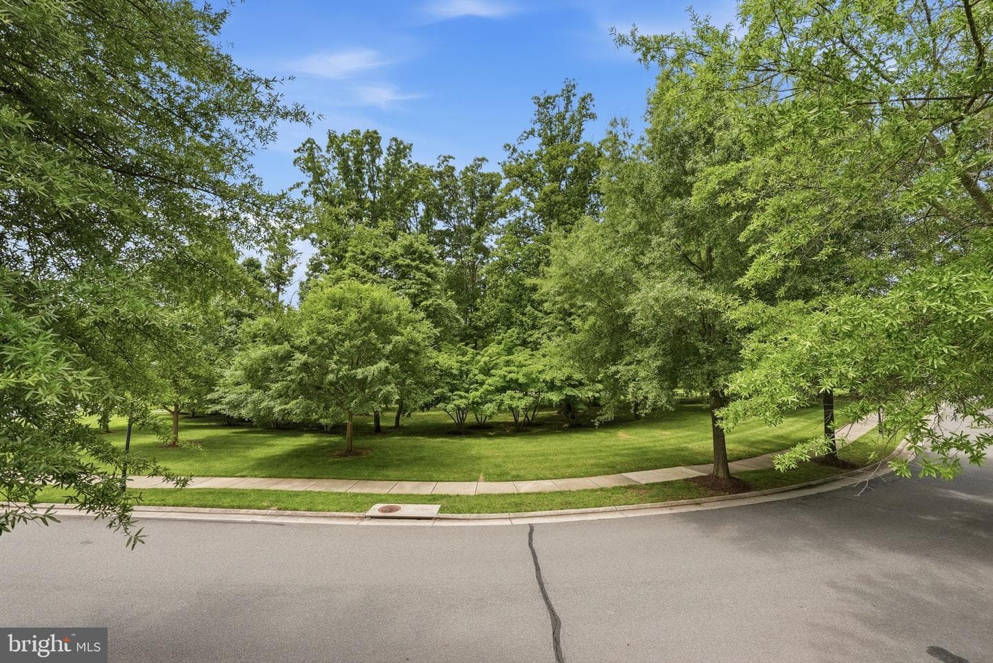 20789 Red Cedar Drive photo 6
