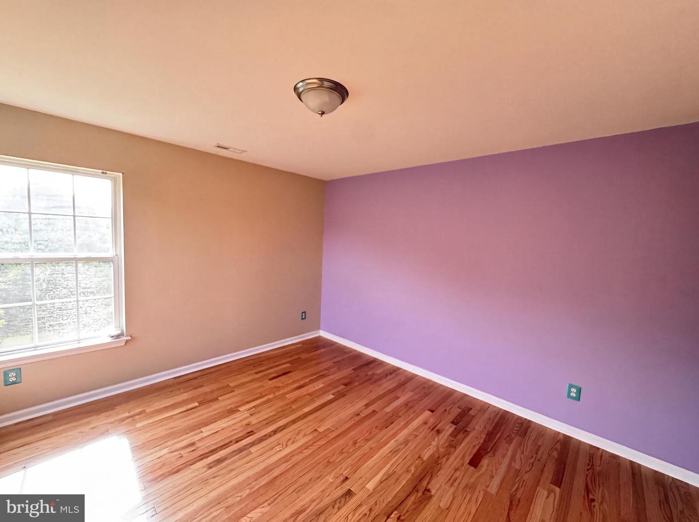 11625 Mica Place photo 15