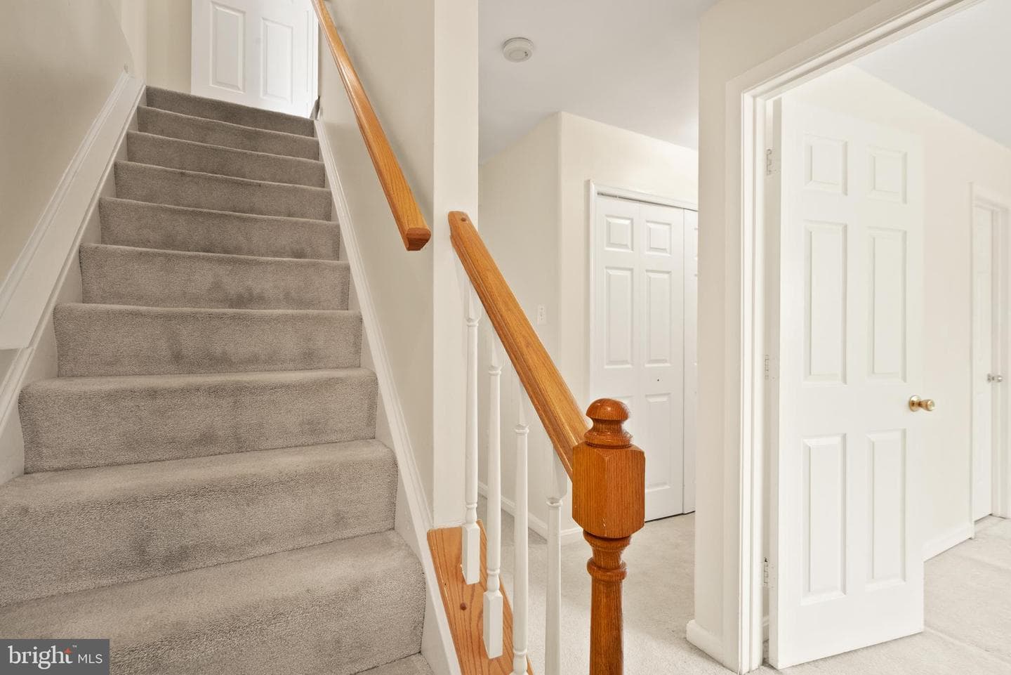 21020 Mossy Glen Terrace photo 42