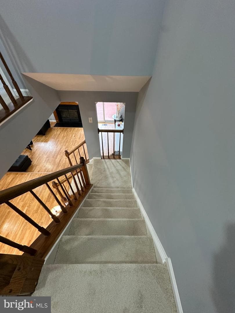21140 Winding Brook Square photo 18