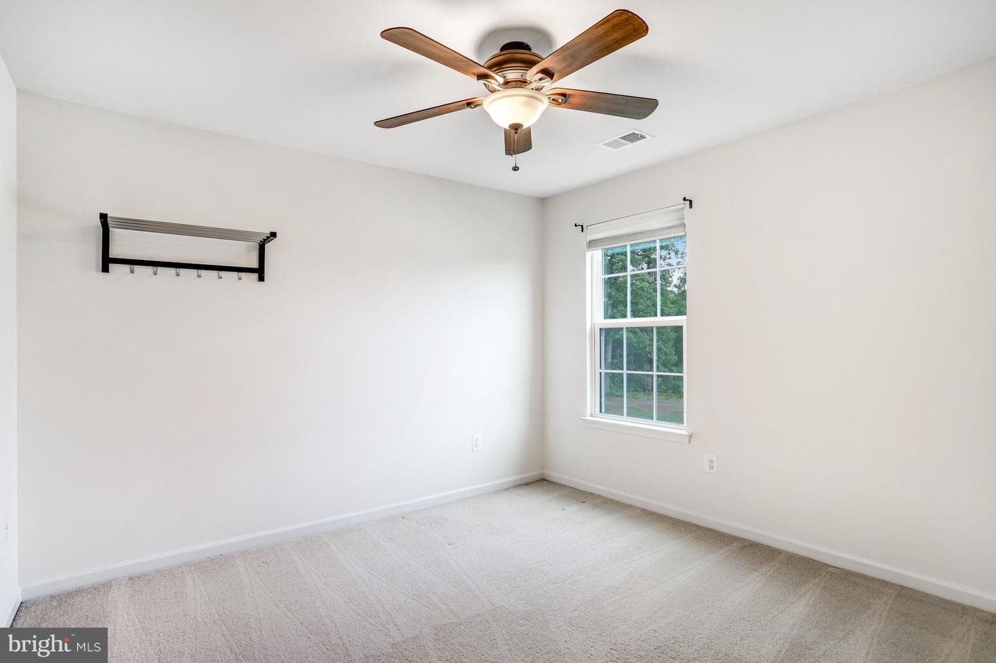 26798 Barnsley Place photo 54
