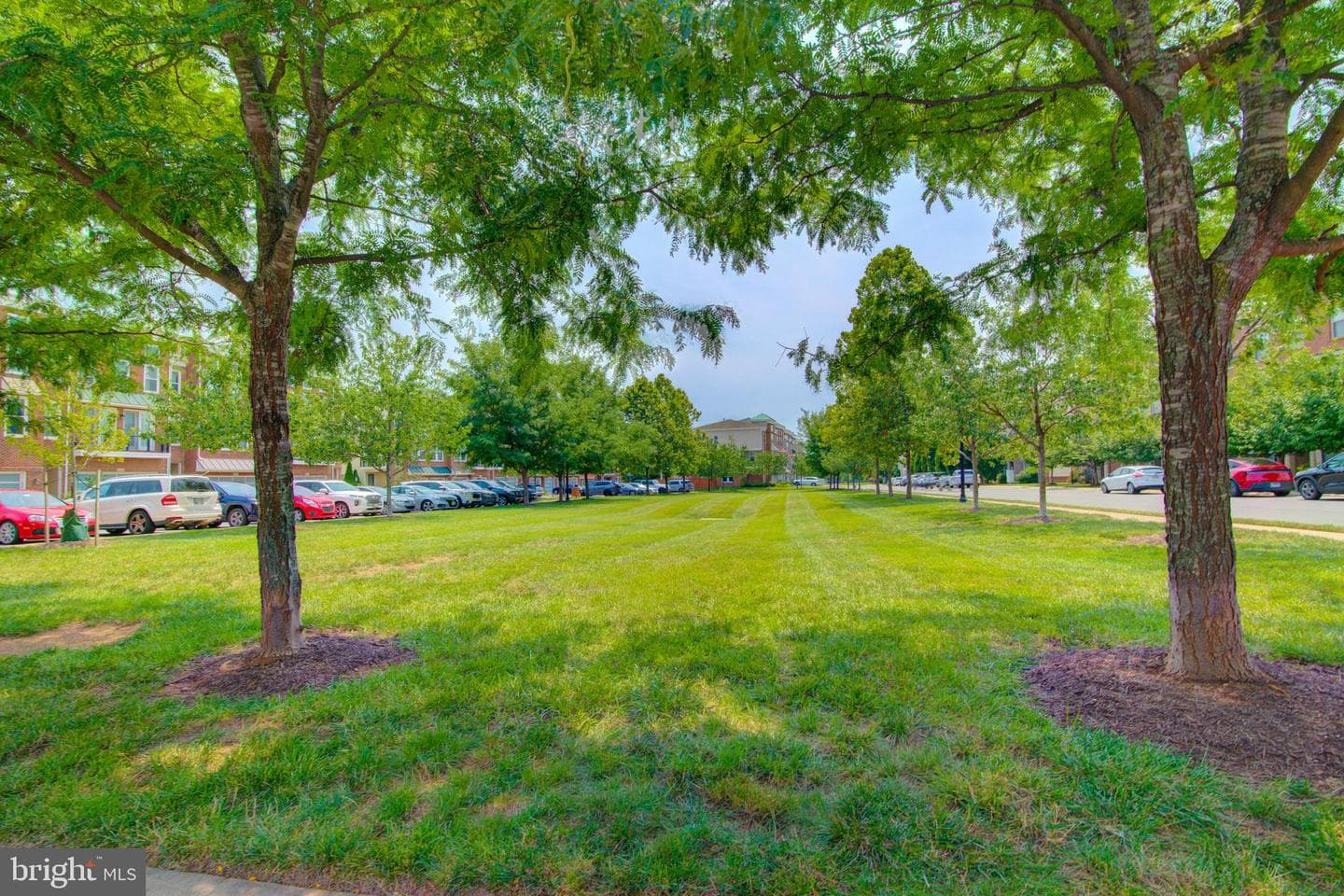 42262 Knotty Oak Terrace photo 41
