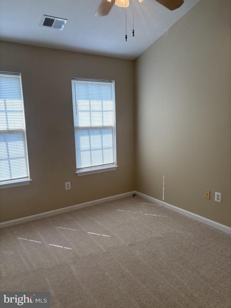 21156 Domain Terrace photo 18