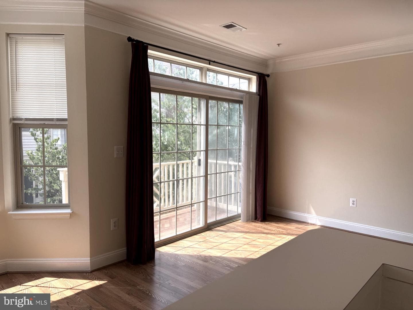 21156 Domain Terrace photo 3