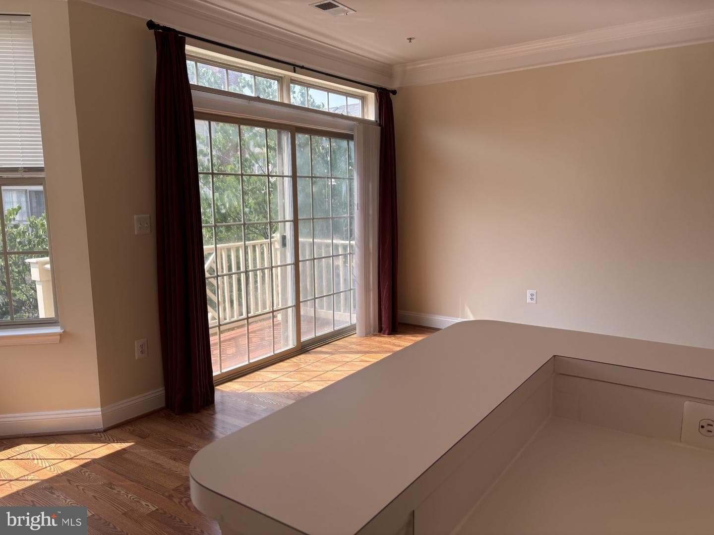 21156 Domain Terrace photo 4