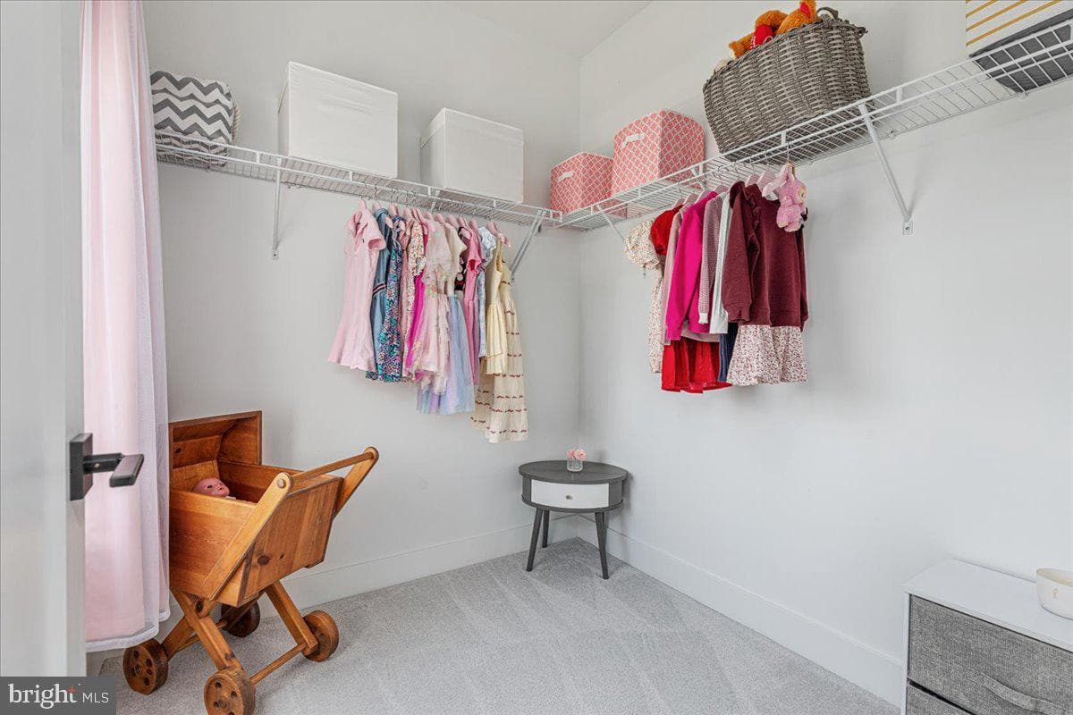 24815 Yellow Poplar Place photo 43