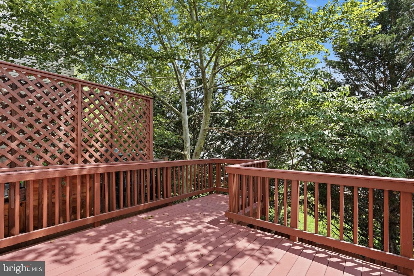 43451 Laidlow Street photo 34