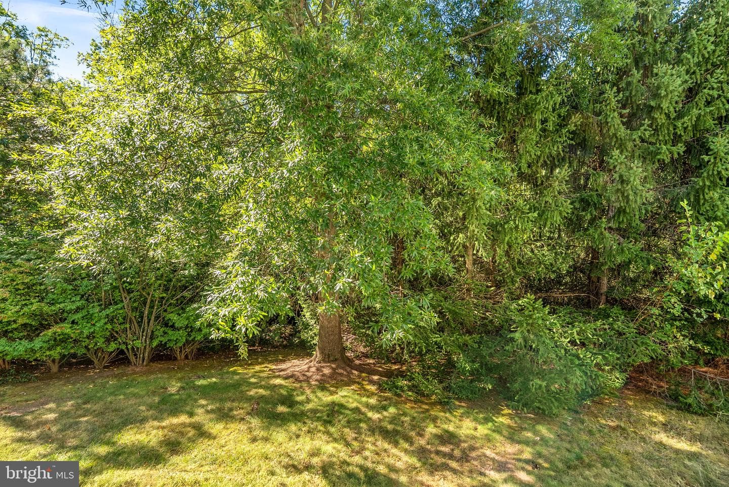 21553 Center Point Circle photo 48