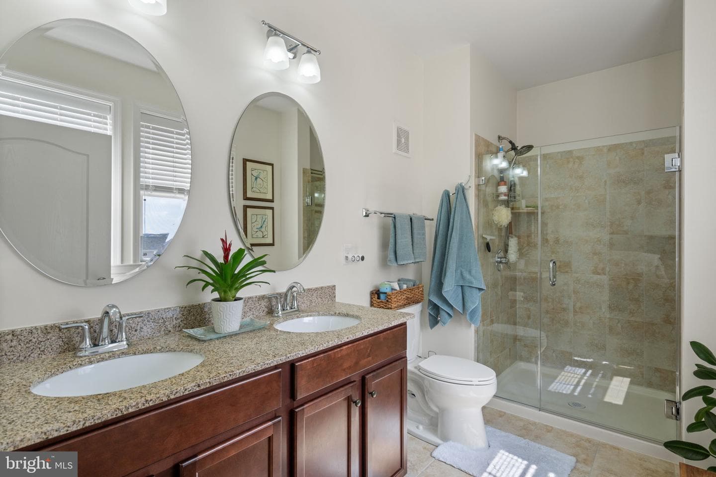 24637 Woolly Mammoth Terrace #307 photo 17