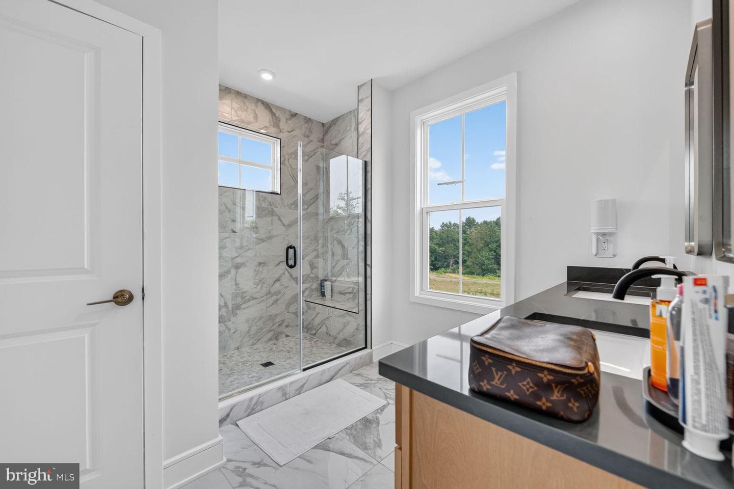 25508 Grassy Meadow Drive photo 22