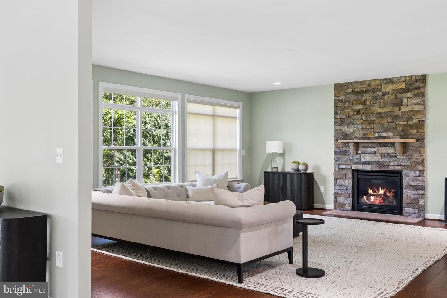 22411 Conservancy Drive photo 32