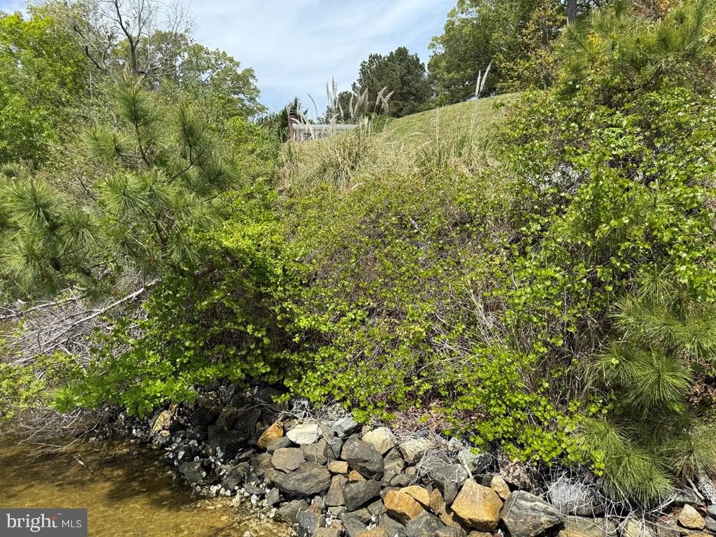2260 Iberis Road photo 30