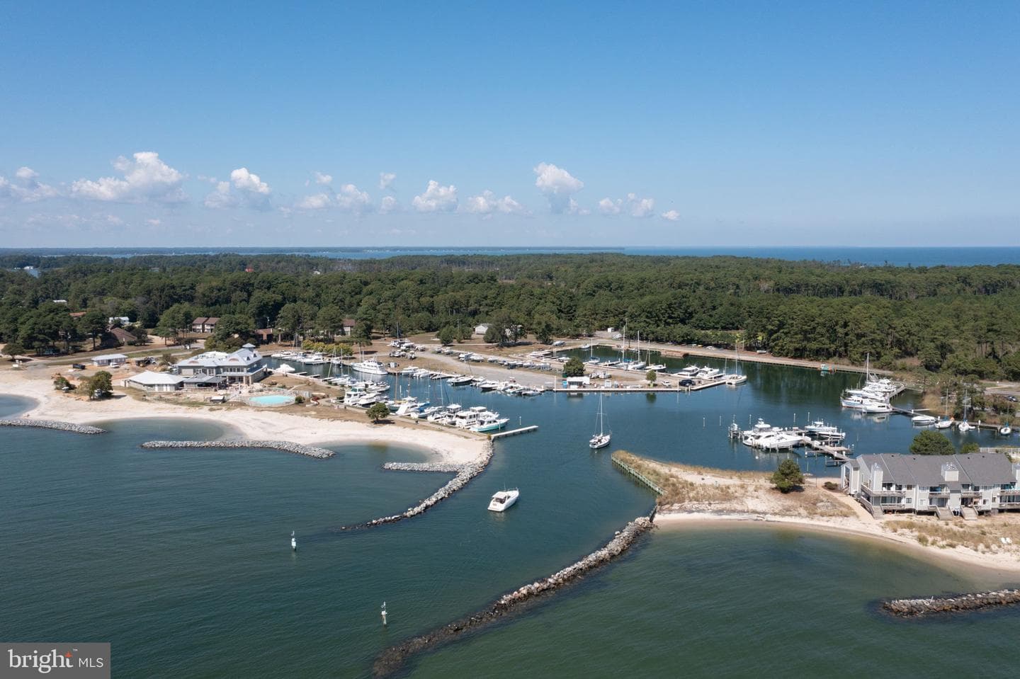 141 Beach Cove Drive photo 49
