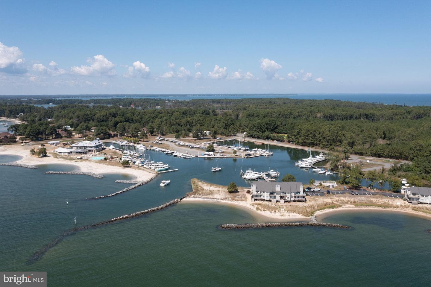 141 Beach Cove Drive photo 50