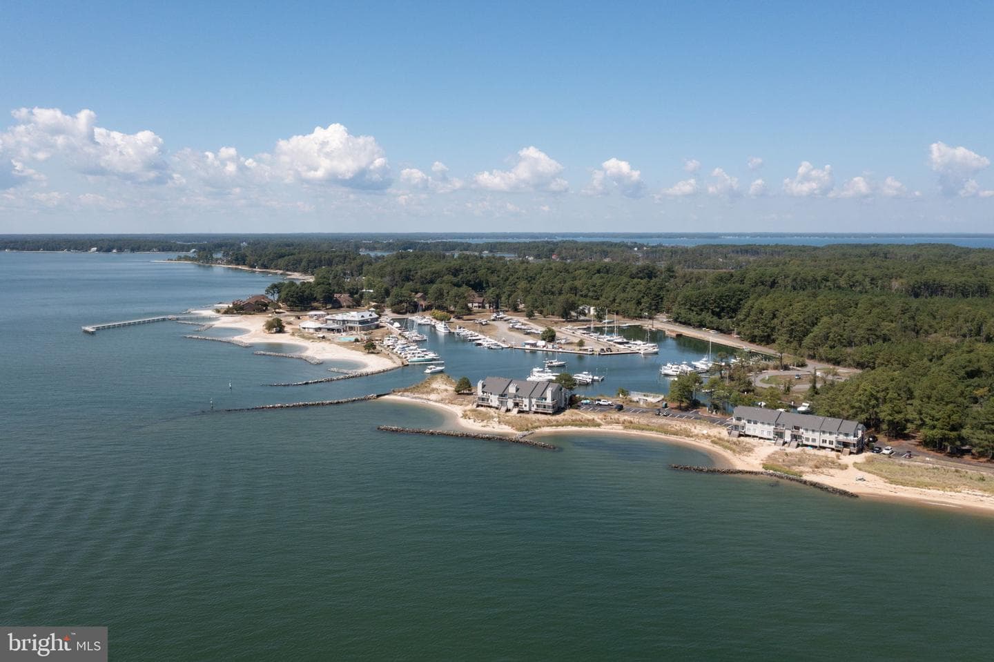 141 Beach Cove Drive photo 53
