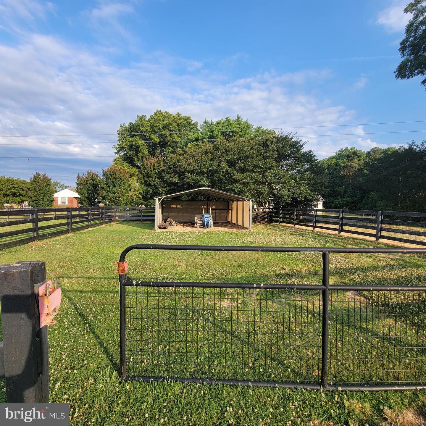 519 White Hall Road photo 38