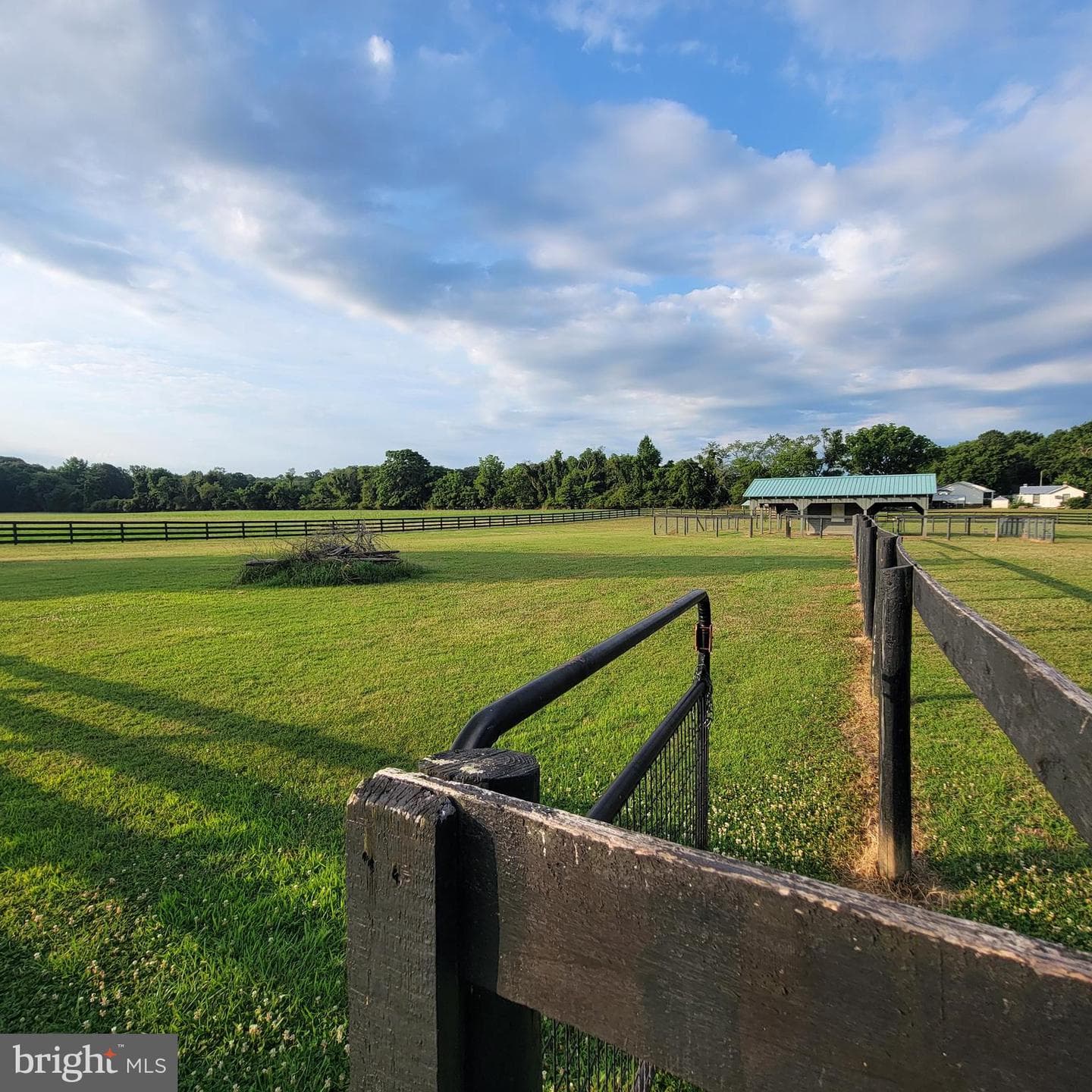 519 White Hall Road photo 40