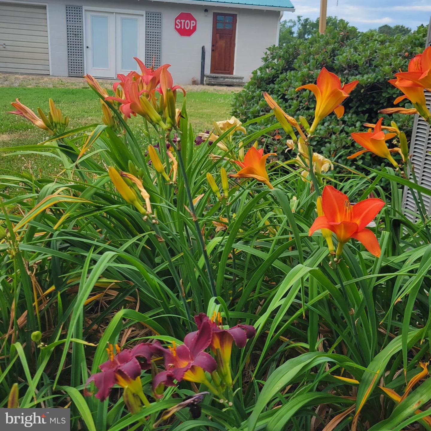 519 White Hall Road photo 41