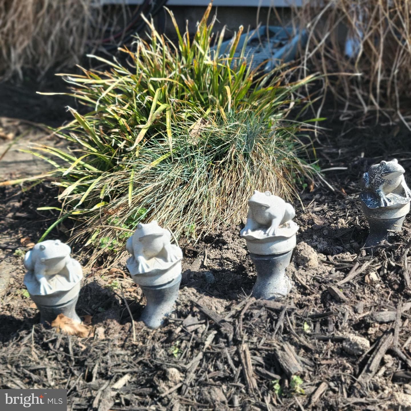 519 White Hall Road photo 43