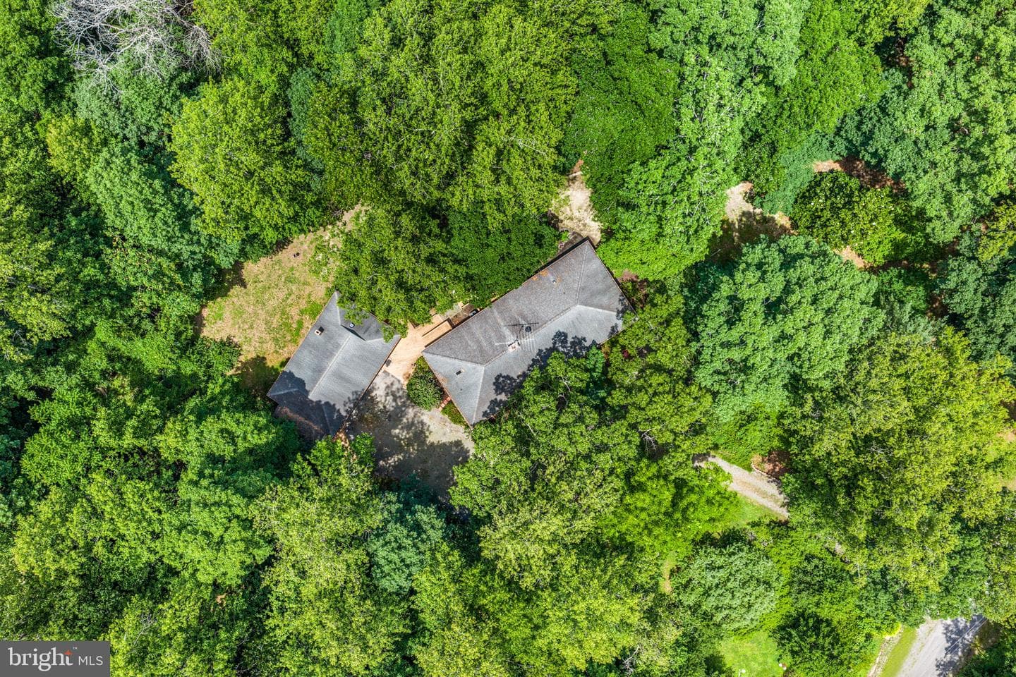 59 Hickory Road photo 38
