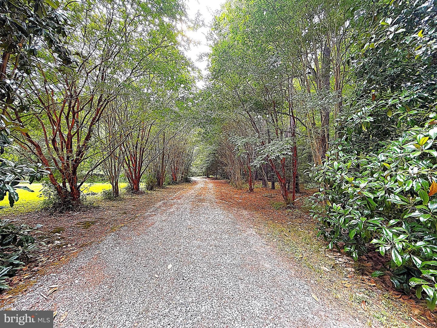 404 Woodbrook Drive photo 12