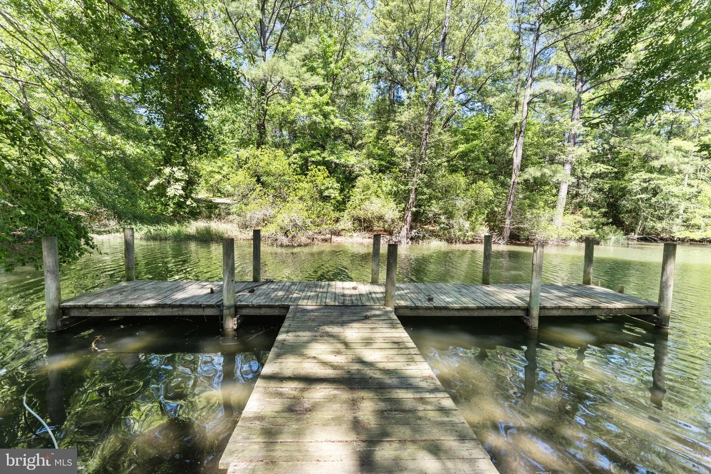 783 King Carter Drive photo 41