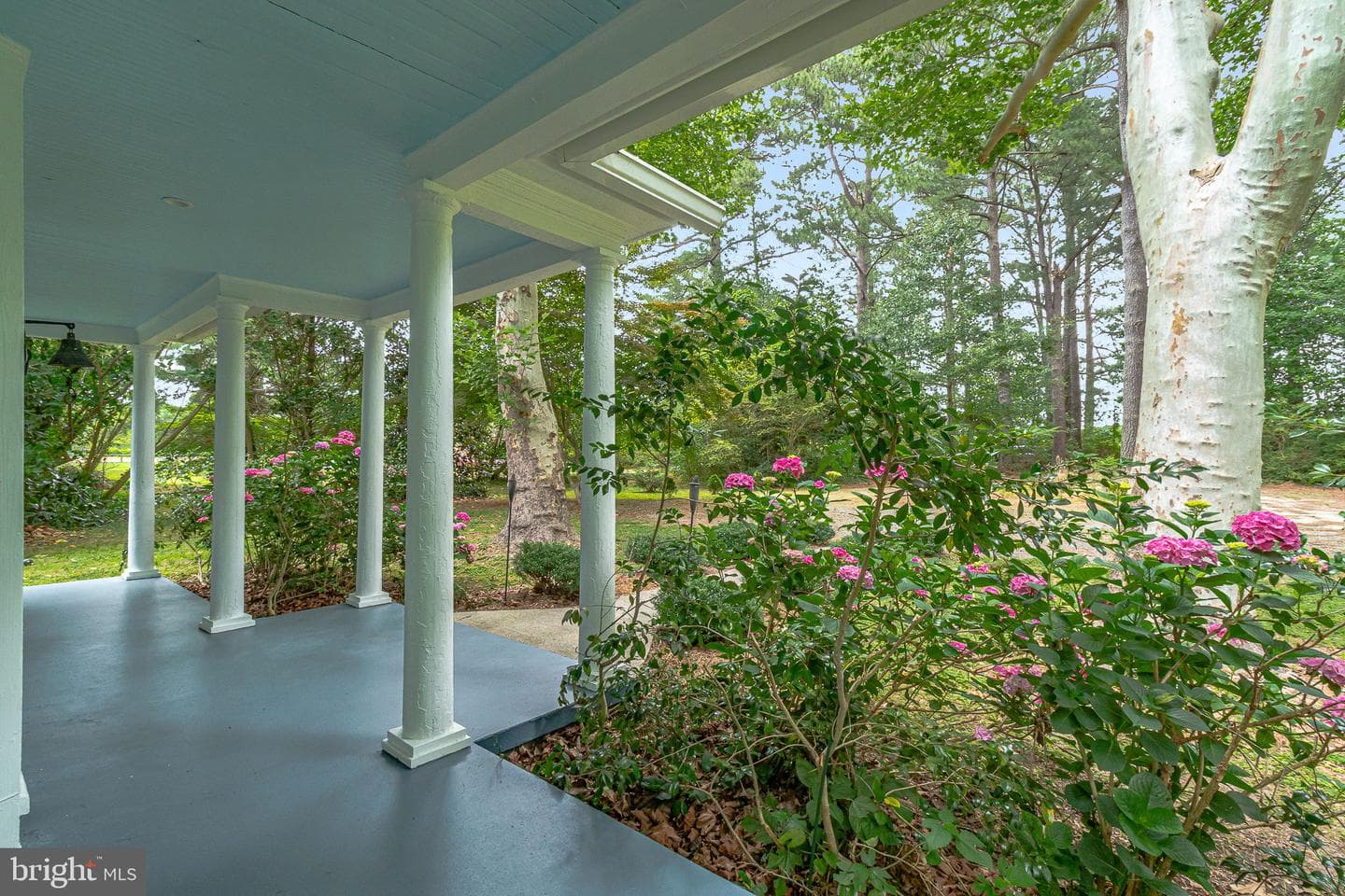 3952 Irvington Rd photo 3