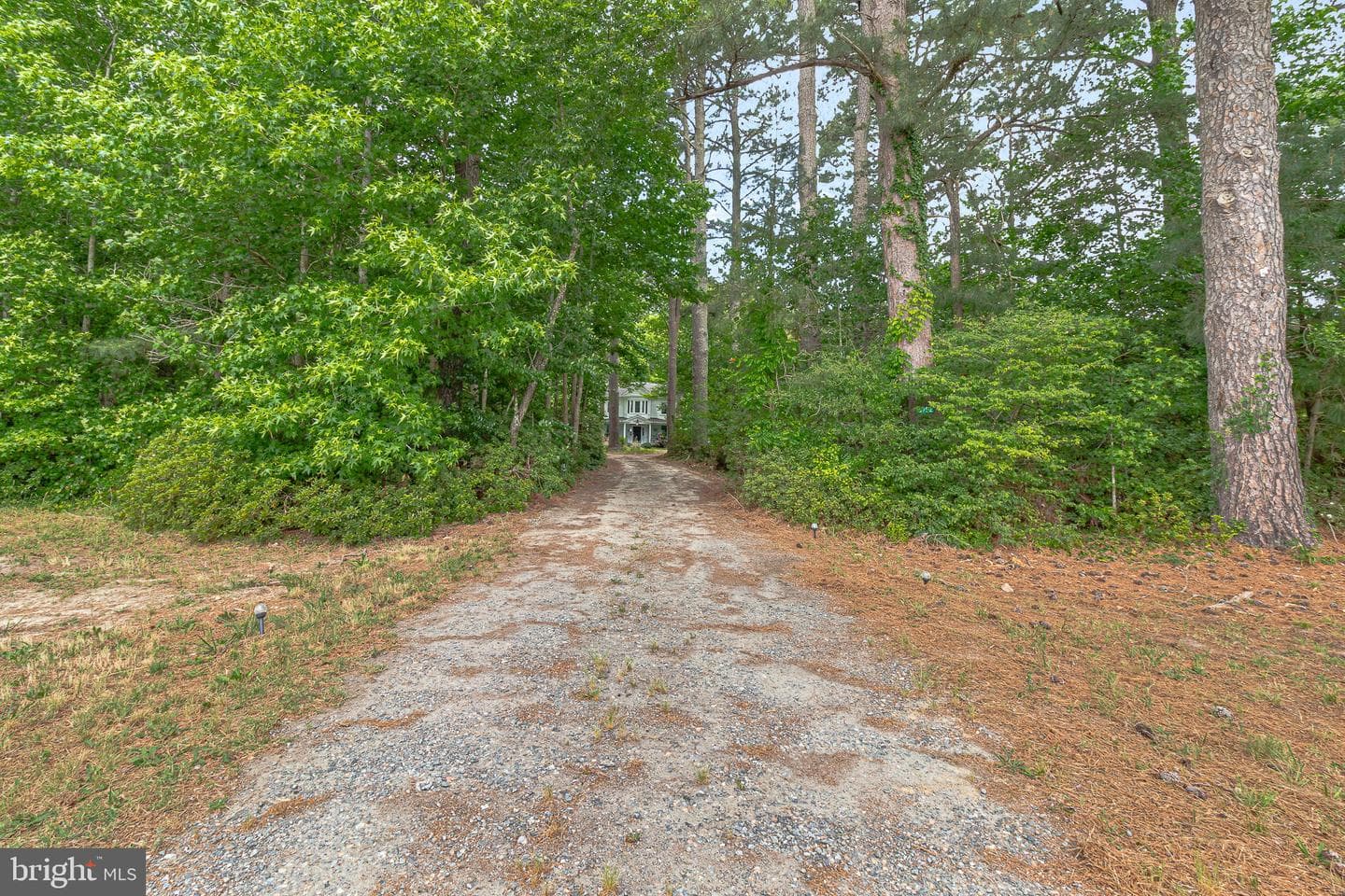 3952 Irvington Rd photo 39