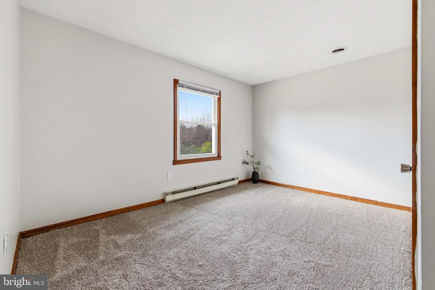 126 Welsh Park Place photo 22