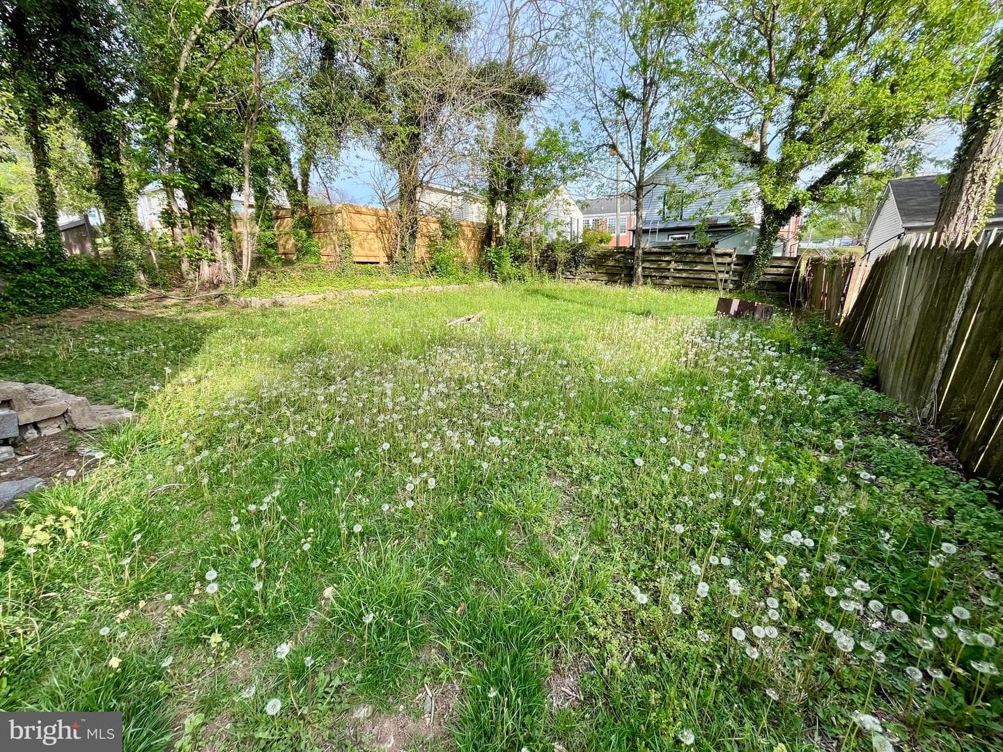 407 Carruthers Street photo 24