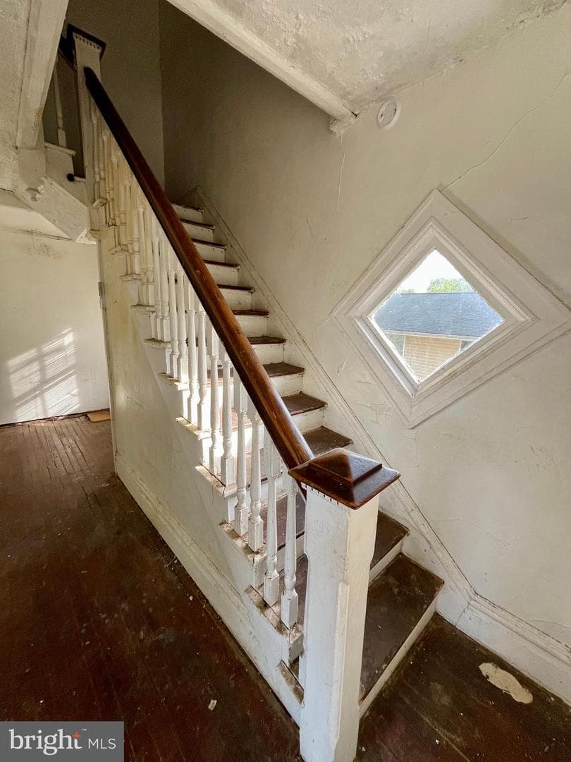 407 Carruthers Street photo 3