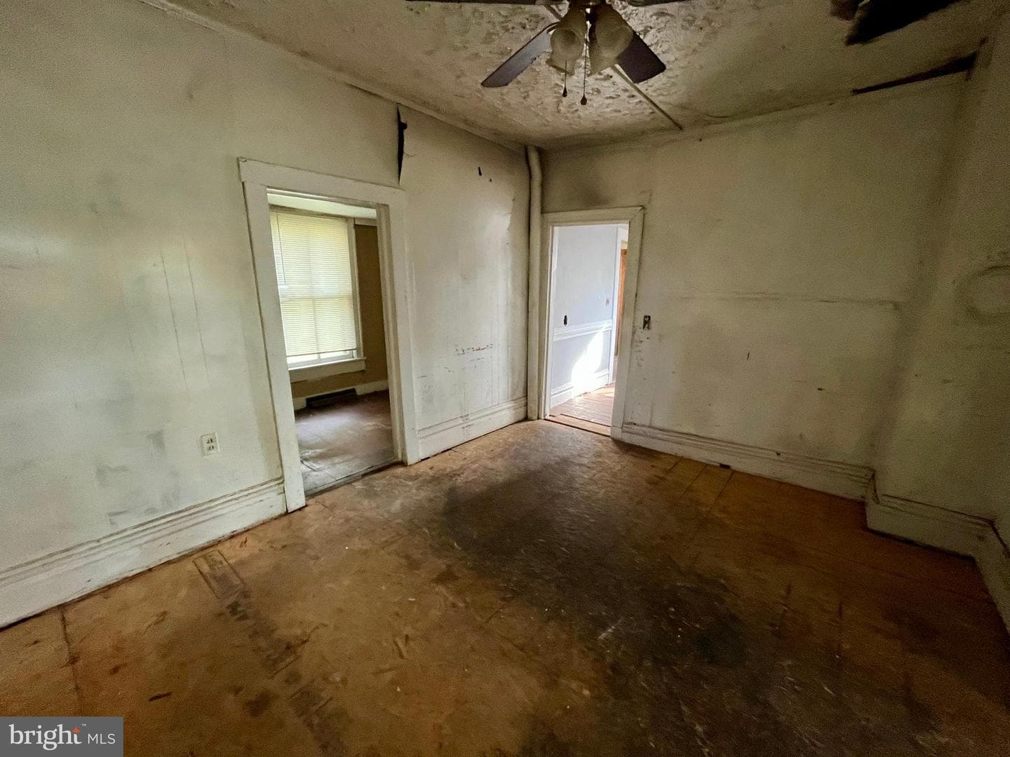 407 Carruthers Street photo 6
