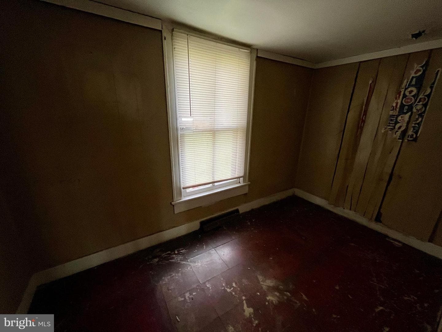 407 Carruthers Street photo 8