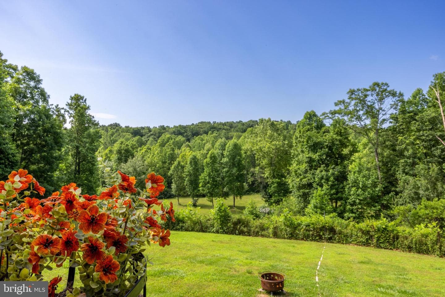 291 Courtney Hollow Road photo 3