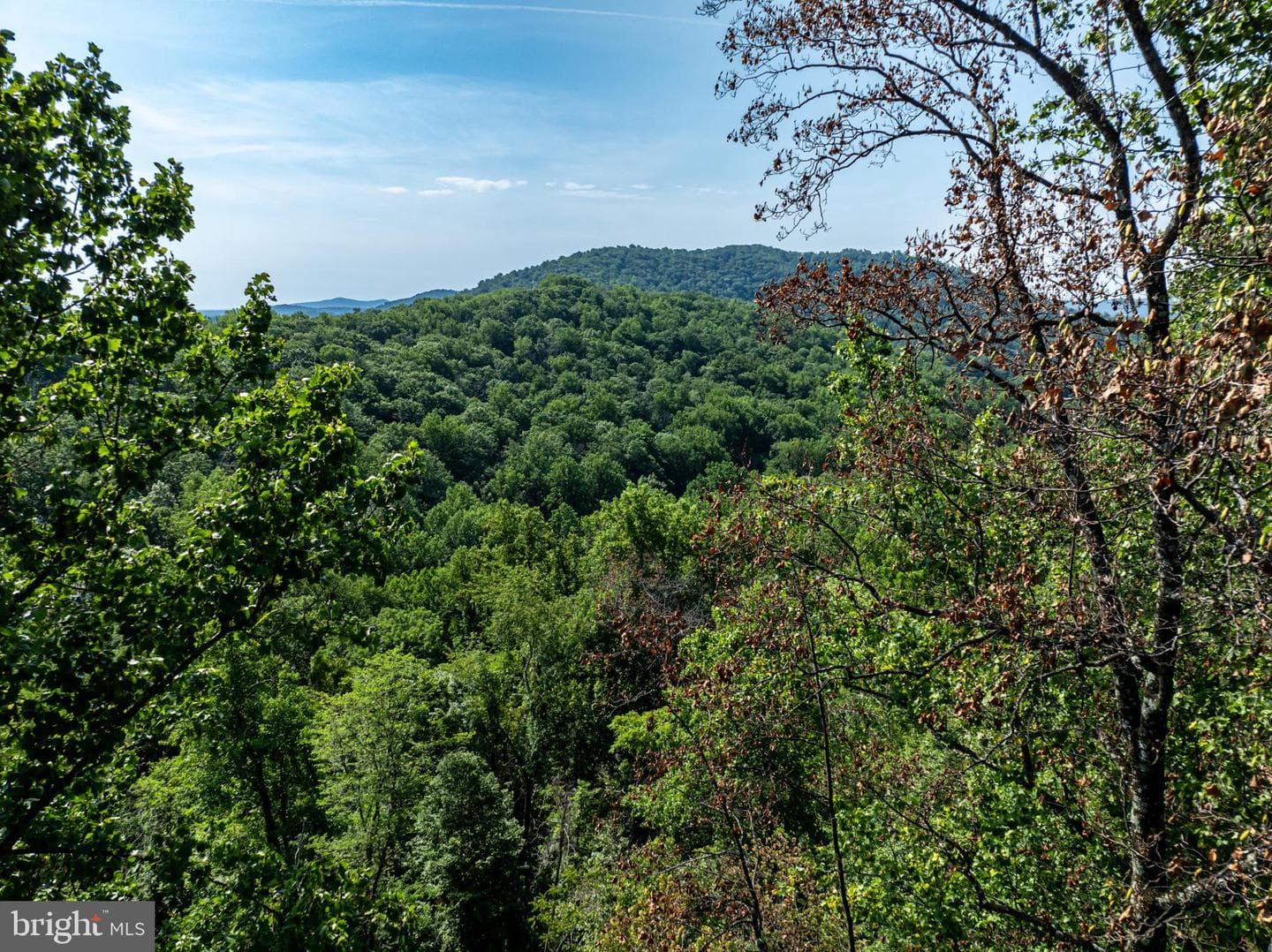 250 Rag Hill Road photo 55
