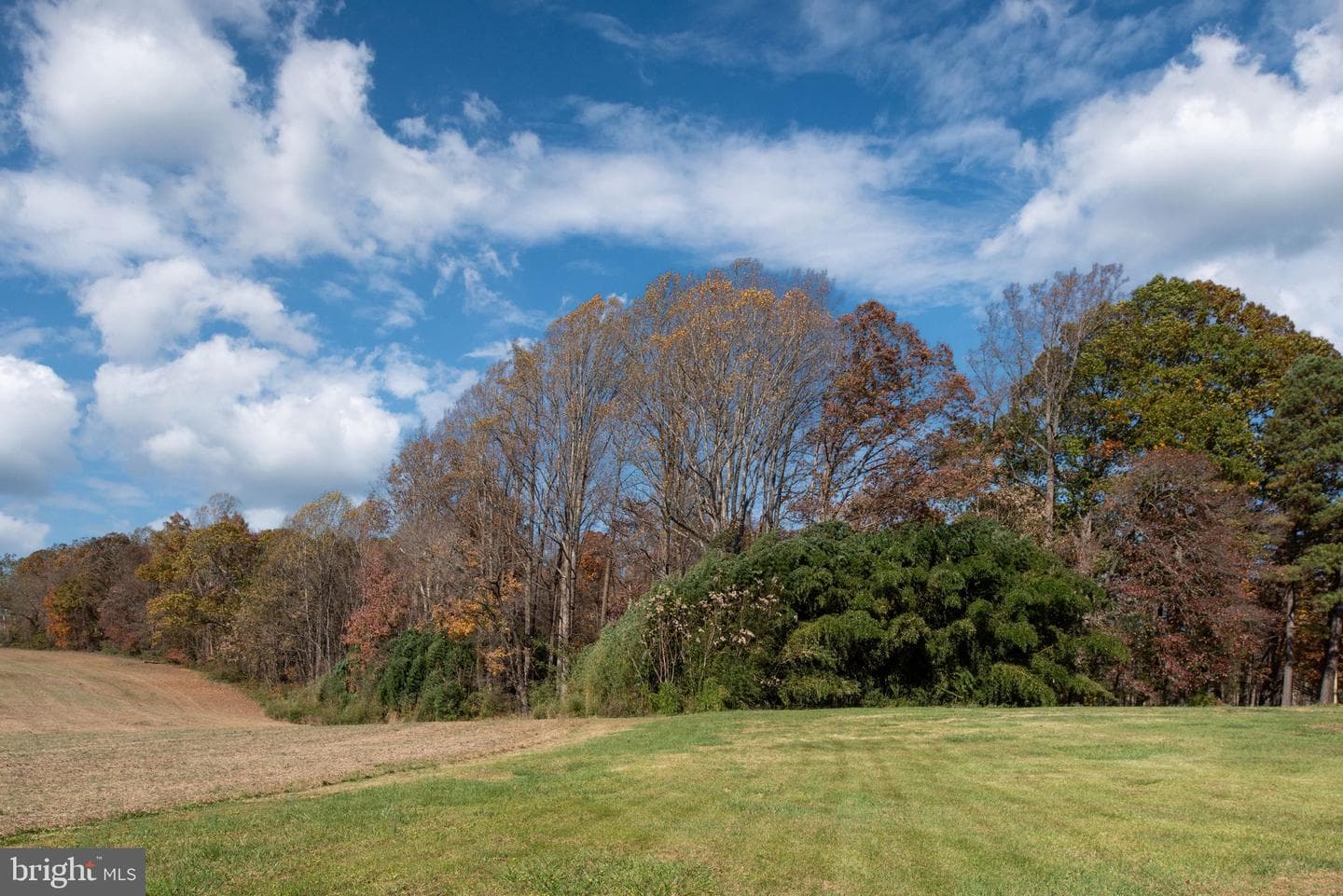 2038 Orange Road photo 46