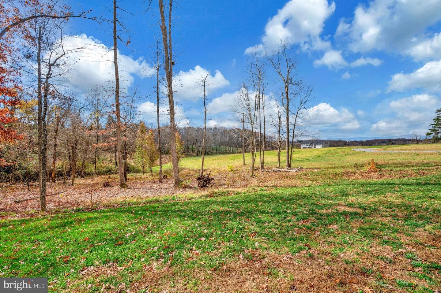 161 Russ Jones Lane photo 19