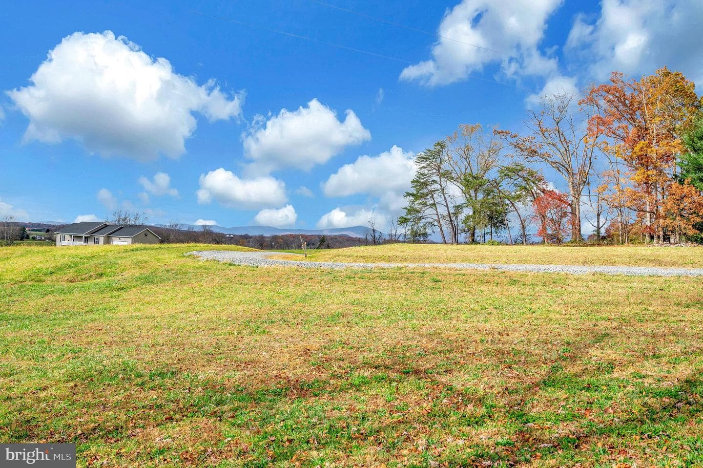 161 Russ Jones Lane photo 41