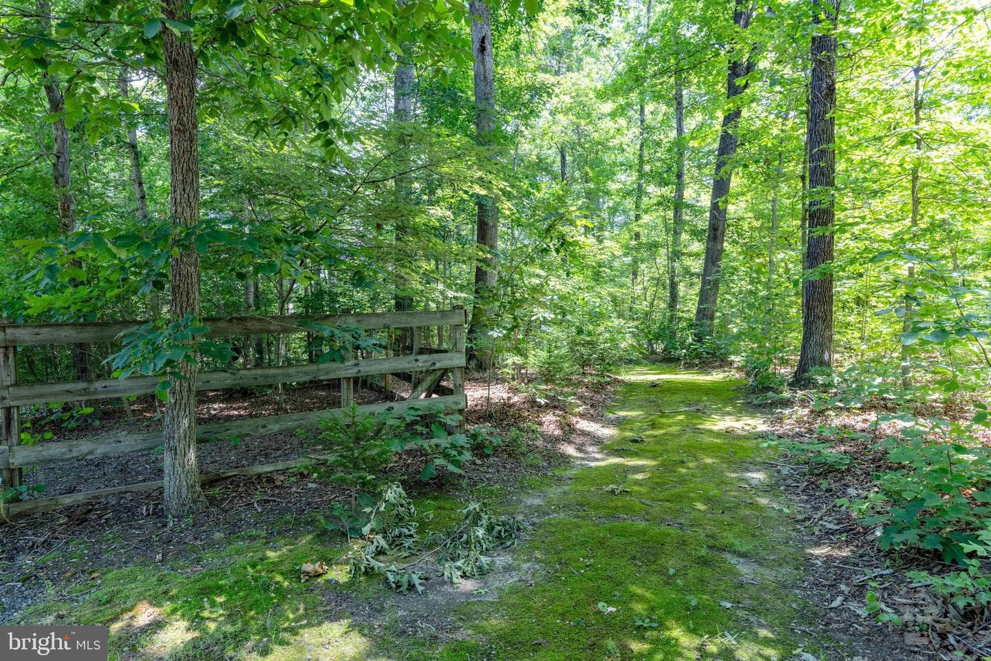 573 Liberty Lane photo 47