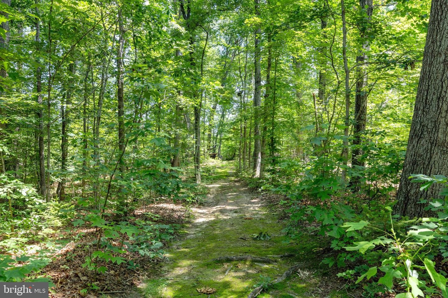573 Liberty Lane photo 48