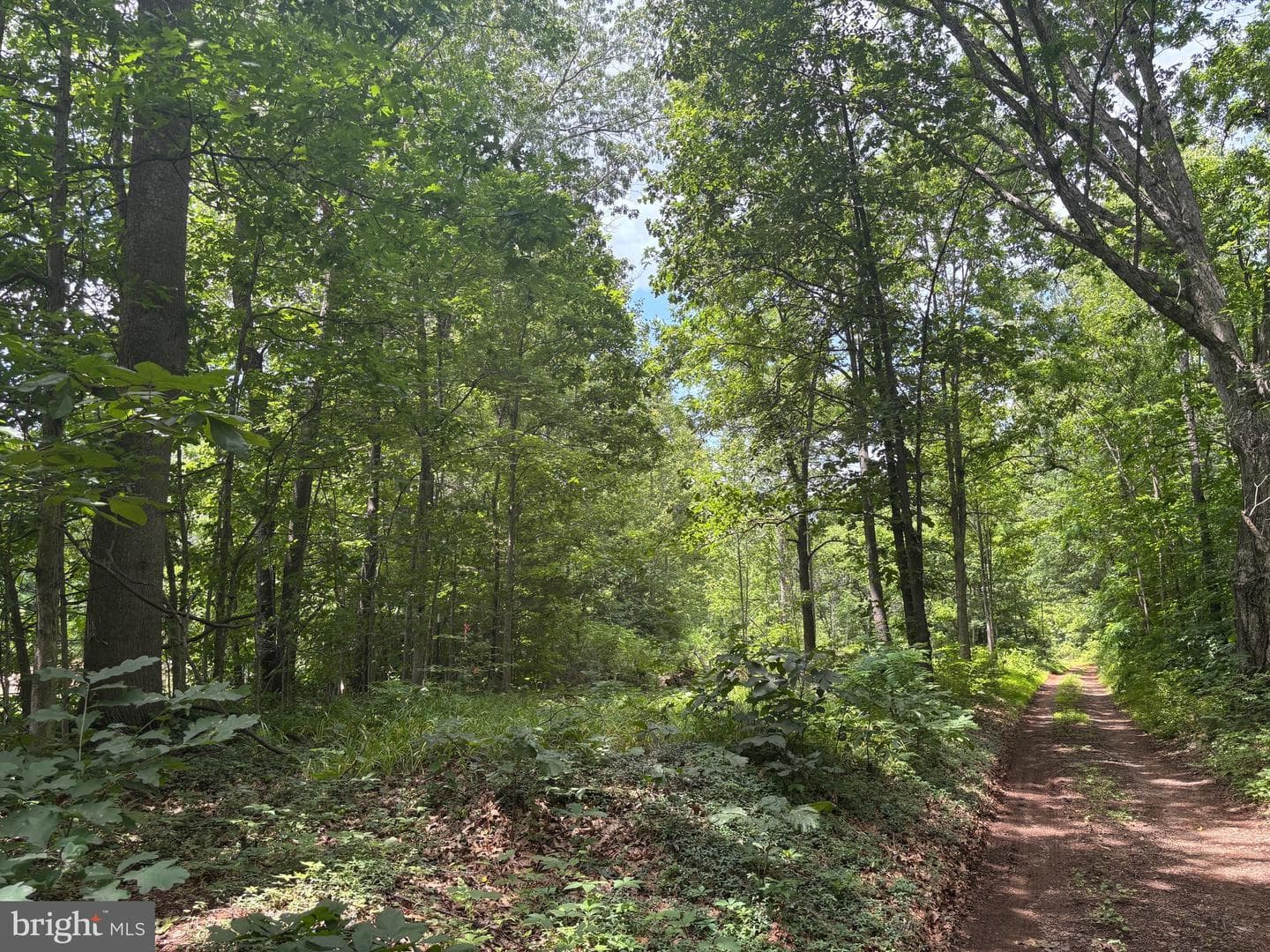Tbd Mount Pisgah Church Dr photo 10