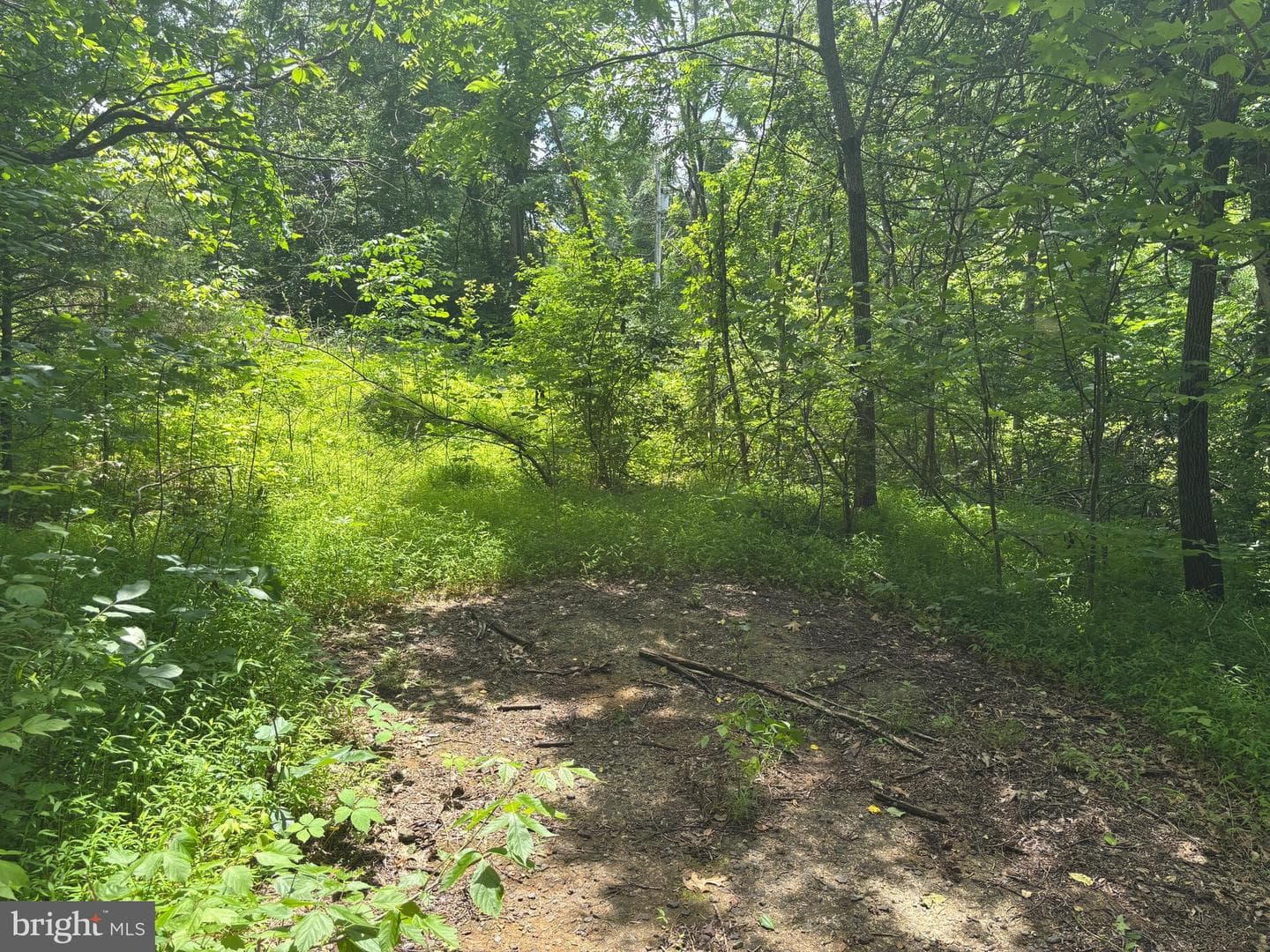 Tbd Mount Pisgah Church Dr photo 13