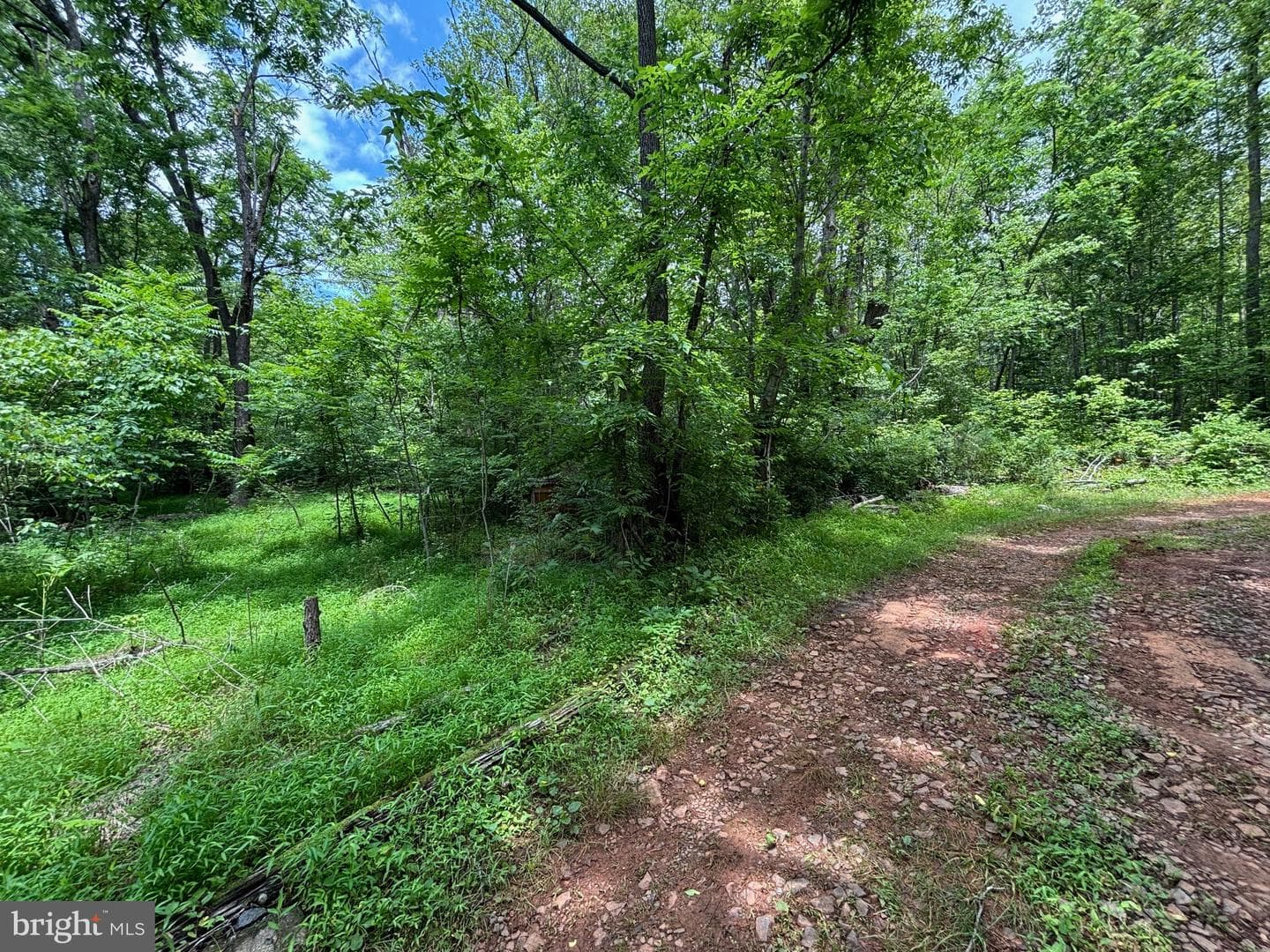 Tbd Mount Pisgah Church Dr photo 16