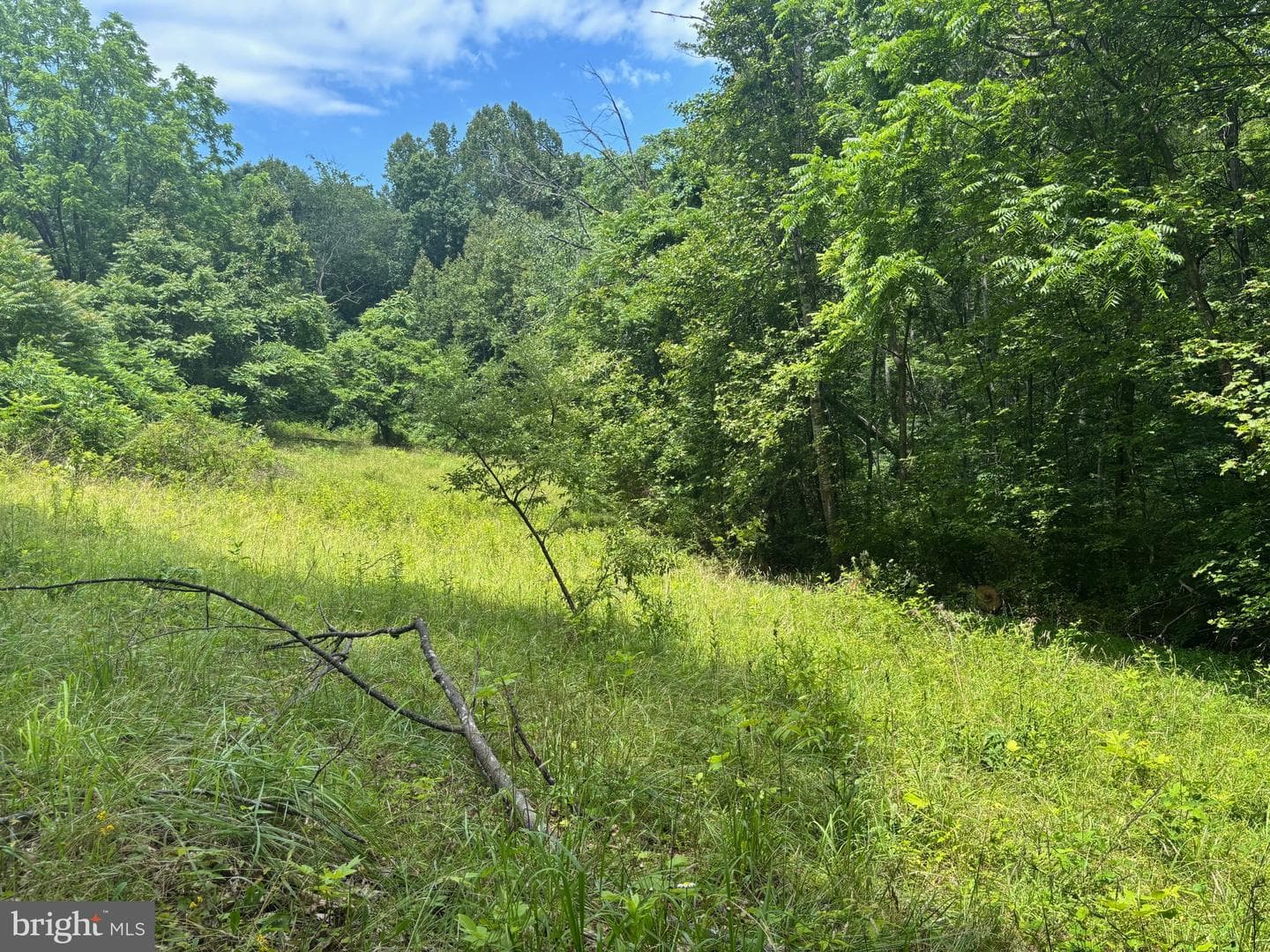 Tbd Mount Pisgah Church Dr photo 18
