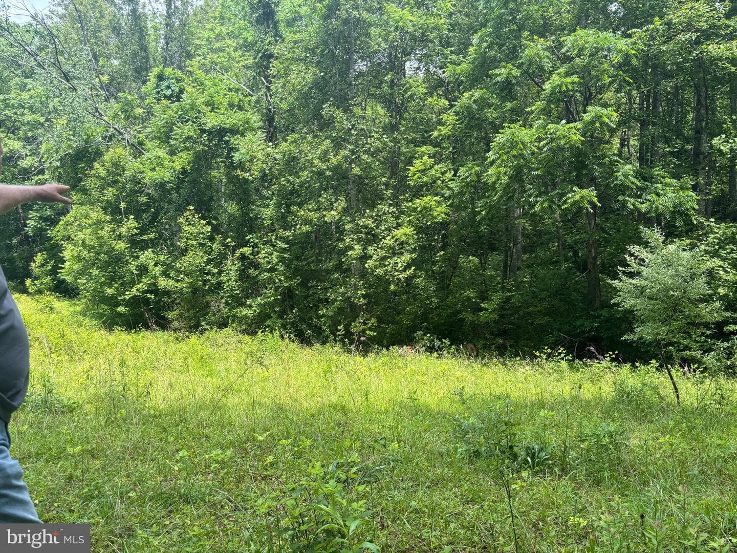 Tbd Mount Pisgah Church Dr photo 19